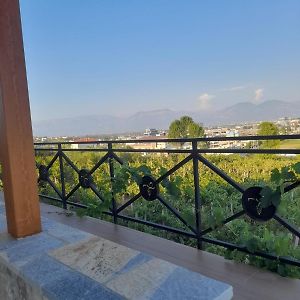 Vila Shehi Guesthouse And Winery